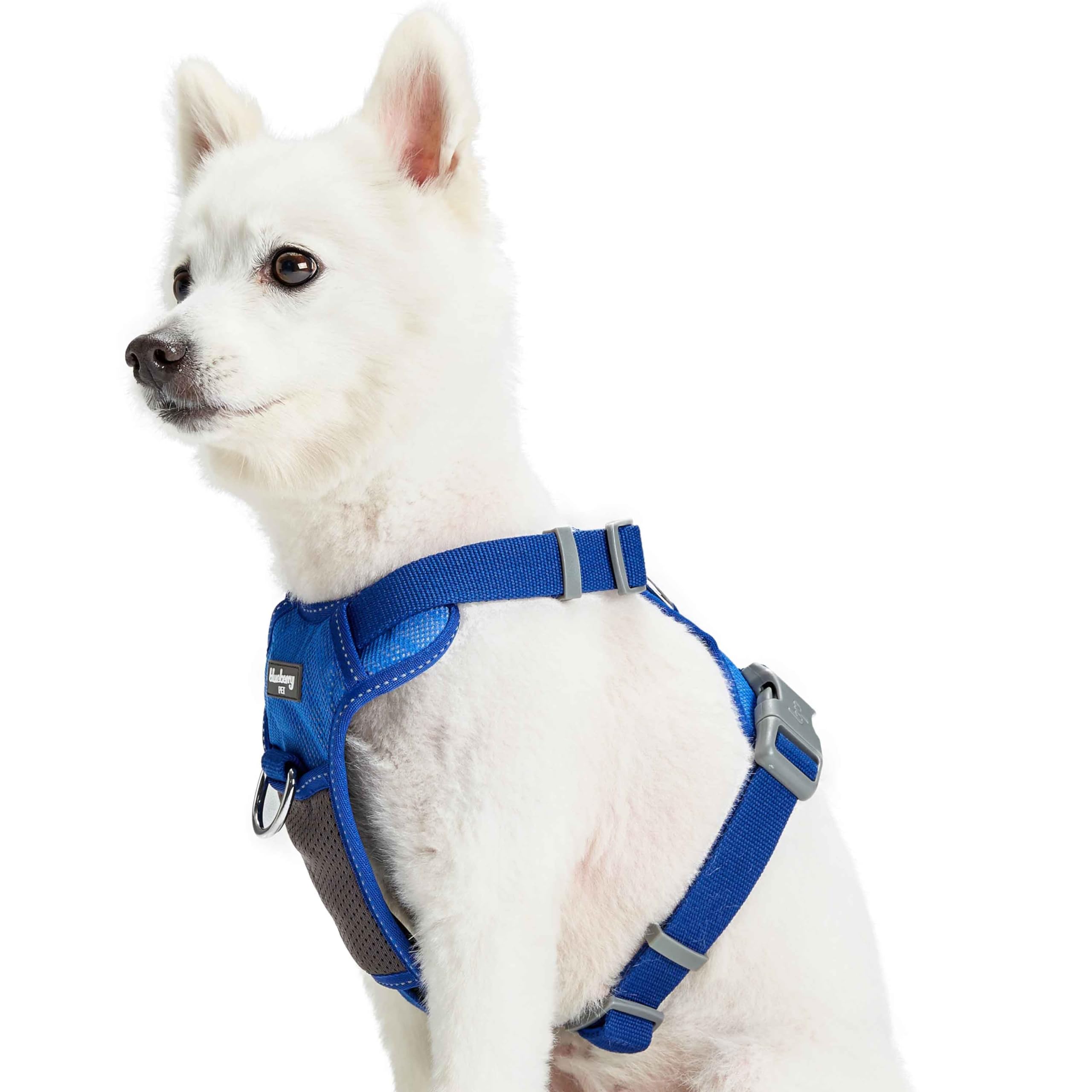 Photo 1 of Blueberry Pet Soft & Comfy 3M Reflective Dog Harness Vest | Mesh Padded No Pull | Multi-Colored Stripe - Blue | Adjustable for Small Dogs