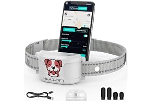 RERBIO 2-in-1 Bluetooth GPS Electronic Fence, Wireless Training Collar- No Subscription Required, Create Your Own Wireless Fence for Dogs, Waterproof Smart Charging Pet Outdoor Use,for Most of Dogs