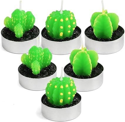 La Bellefee Cactus Tealight Candle Succulent Cactus Candle Gift Set Handmade Delicate Smokeless Cute Green Plant For Party Wedding Spa Home Decoration Gifts 6 Packs Gift Amazon Co Uk Kitchen Home