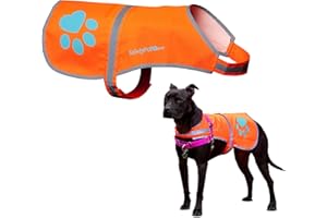 SafetyPUP XD Reflective Dog Vest. Hi-Visibility, Fluorescent Blaze Orange Dog Vest Helps Protect Your Best Friend. Safeguard Your PUP from Motorists & Hunting Accidents, On or Off Leash (Large)