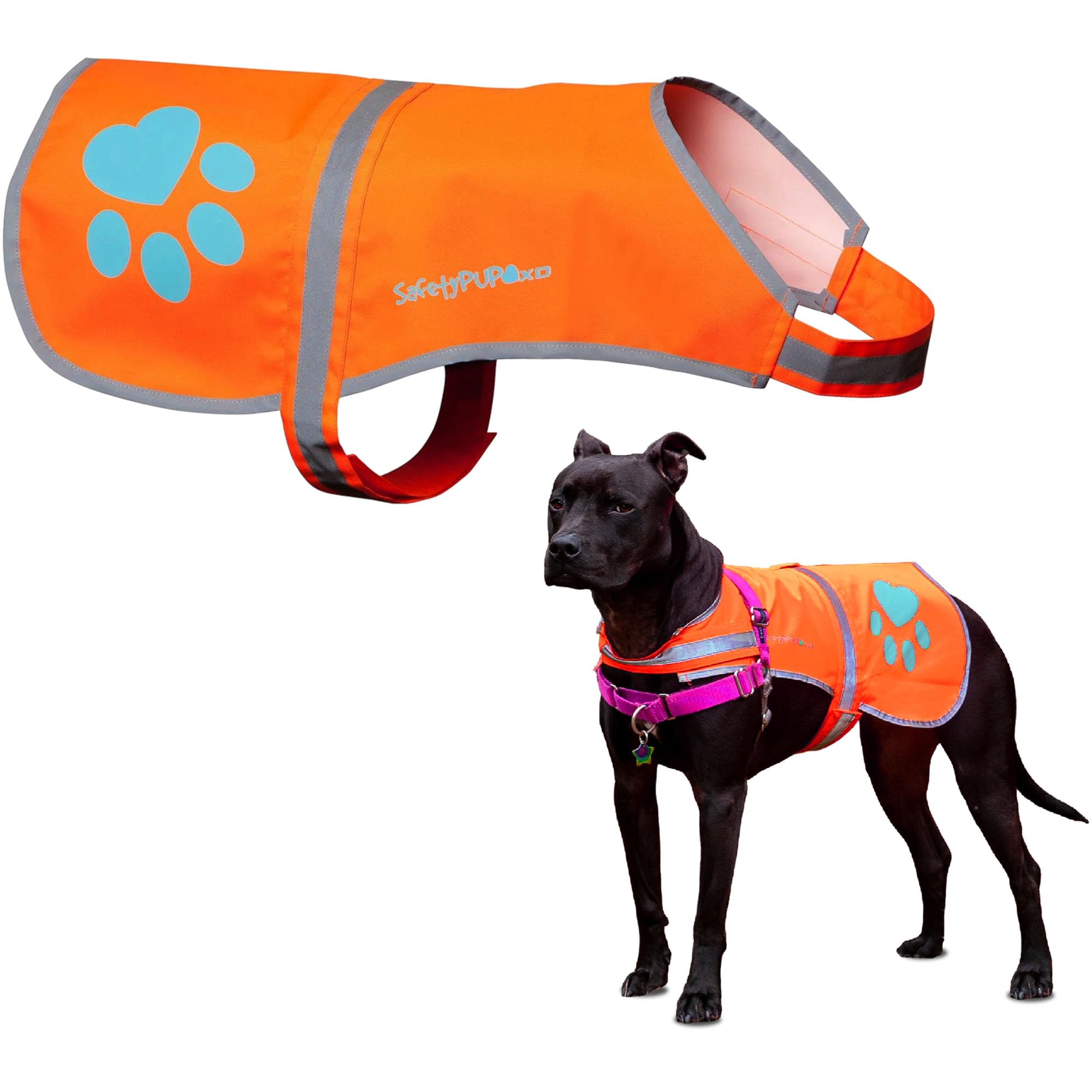 SafetyPUP XD Dog Reflective Vest. Sizes To Fit Dogs 22 lbs To 130 lbs. Blaze Orange Hi Vis Dog Vest Protects Dogs From Cars & Hunting Accidents. (X-Small 14 lbs - 22 lbs) â€¦