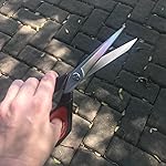 Review Image by Bananas Really