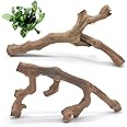 VCEPJH Snake Climbing Branch, 2Pcs Reptile Wood Natural Cork Log Tank Accessories Tree Trunk for Chameleon Bearded Dragon Gecko Snake Frog Spider