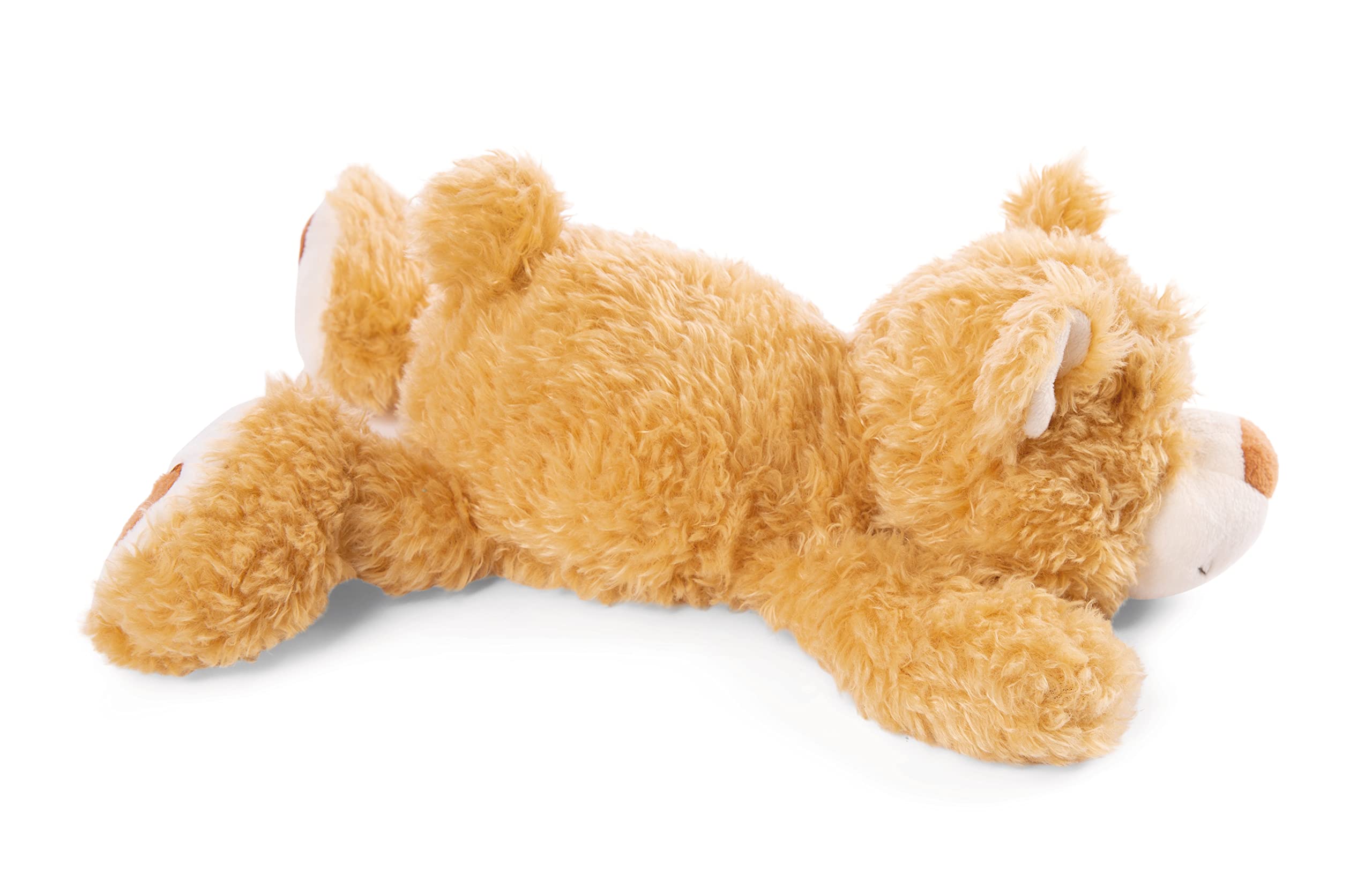 NICI Kuscheltier Bär Mielo 20 cm – Teddybär aus weichem Plüsch, niedliches Plüschtier zum Kuscheln und Spielen, Stofftier für Kinder & Erwachsene, 48777, beige 3