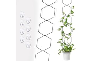 KaiCarnte Chain Trellis for Climbing Plants Outdoor & Indoor-Plant Trellis for Ivy-Garden DIY Trellis for Potted Plants (1 Pack)