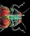 Microsculpture: Portraits of Insects