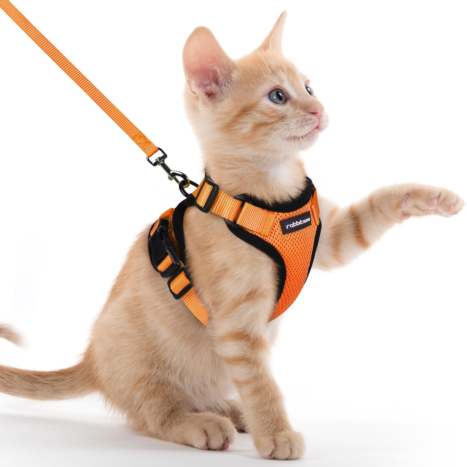 Photo 1 of rabbitgoo Cat Harness and Leash for Walking, Escape Proof Soft Adjustable Vest Harnesses for Cats, Easy Control Breathable Reflective Strips Jacket, Orange, XXS