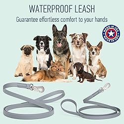 Randstark Biothane Waterproof Durable Dog Leash