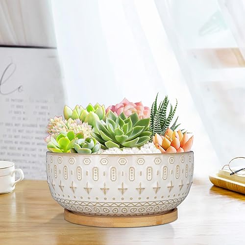 Fivepot 8 Inch Ceramic Succulent Planter Pots with Drainage Hole Flower Pot  for Indoor Plants Round Shallow Bonsai Pot with Bamboo Tray White in Saudi  Arabia | Whizz Planters