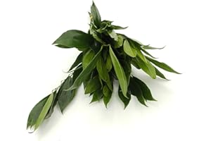 Rumhora Greens | (1) One Bunche of Fresh and Natural Cocculus| Pack of 10 Stems in Each Bunch (10 stems total)| Perfect for Indoor and Outdoor Decorations