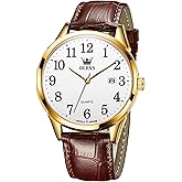 OLEVS Men's Watch,Classic Silver Watches for Men, Waterproof Stainless Steel Roman Numbers Men's Watch Easy to Read