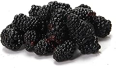 Blackberries, 6 oz