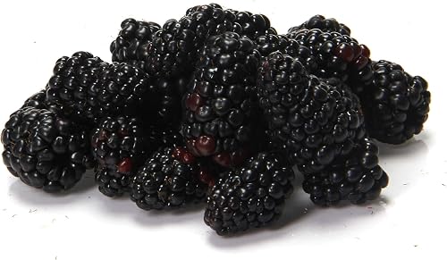 Moras, 6 onzas — Frutas y verduras