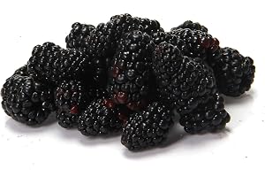 Blackberries, 6 oz