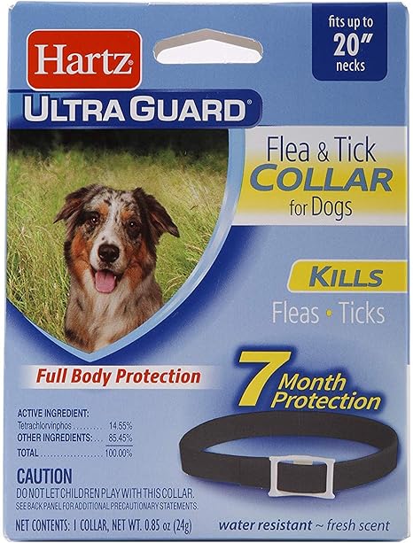 great pyrenees dog harness