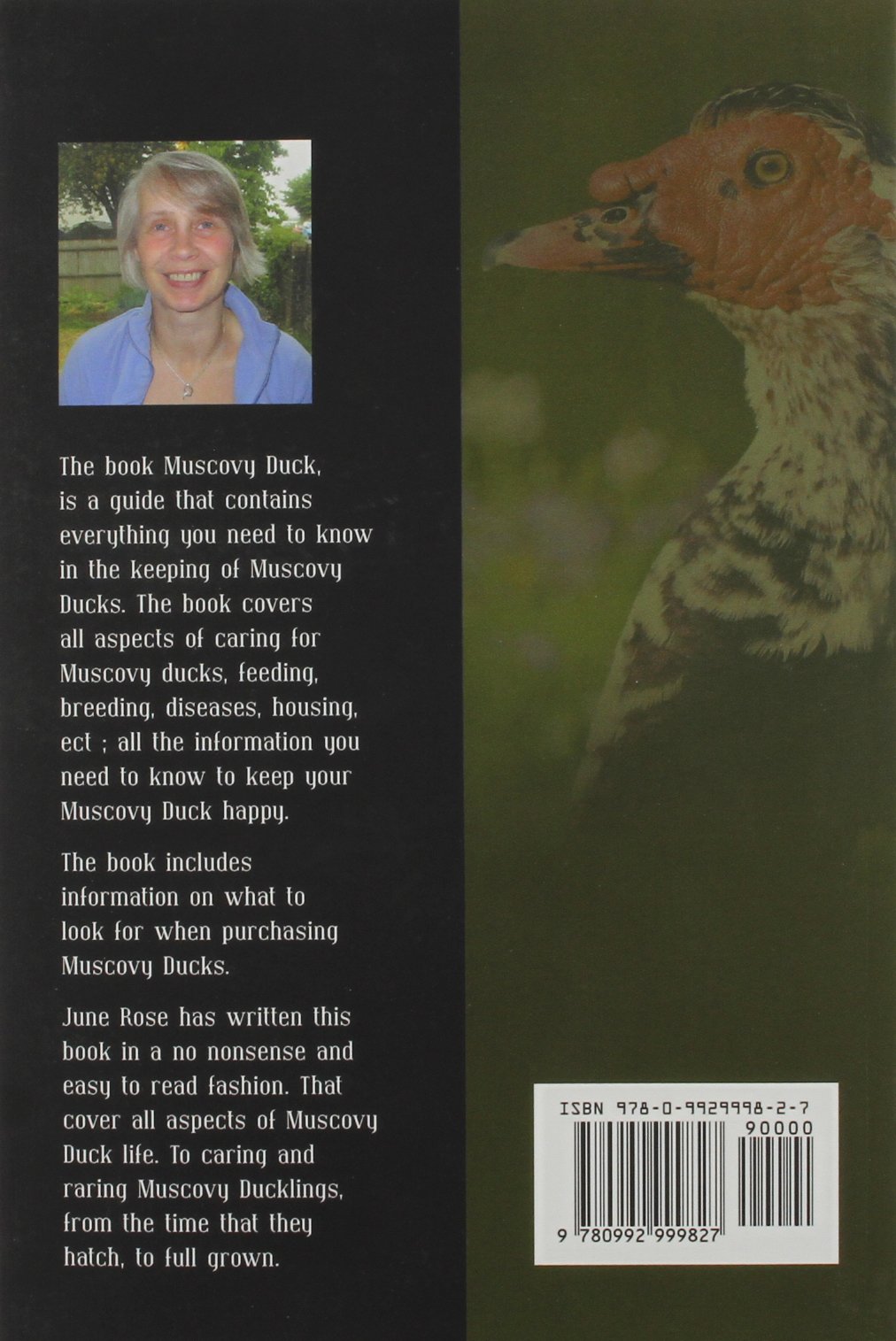 Muscovy Duck: Raising Muscovy Ducks: June Rose: 9780992999827: Amazon.com:  Books