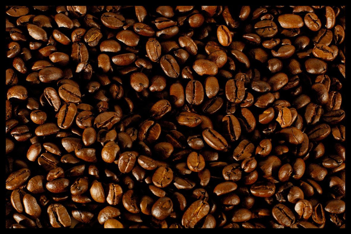 Digital Republic.Com 40206 Door Mat - Phthalate-Free PVC/Polyamide