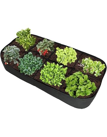 Bolsas para plantas | Amazon.es