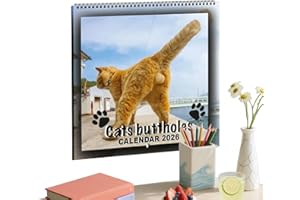 2026 Wall Calendar - Funny Cats Calendar 2026 | Monthly Family Planner Organizer for Bedroom Living Room Desk Kitchen Desktop