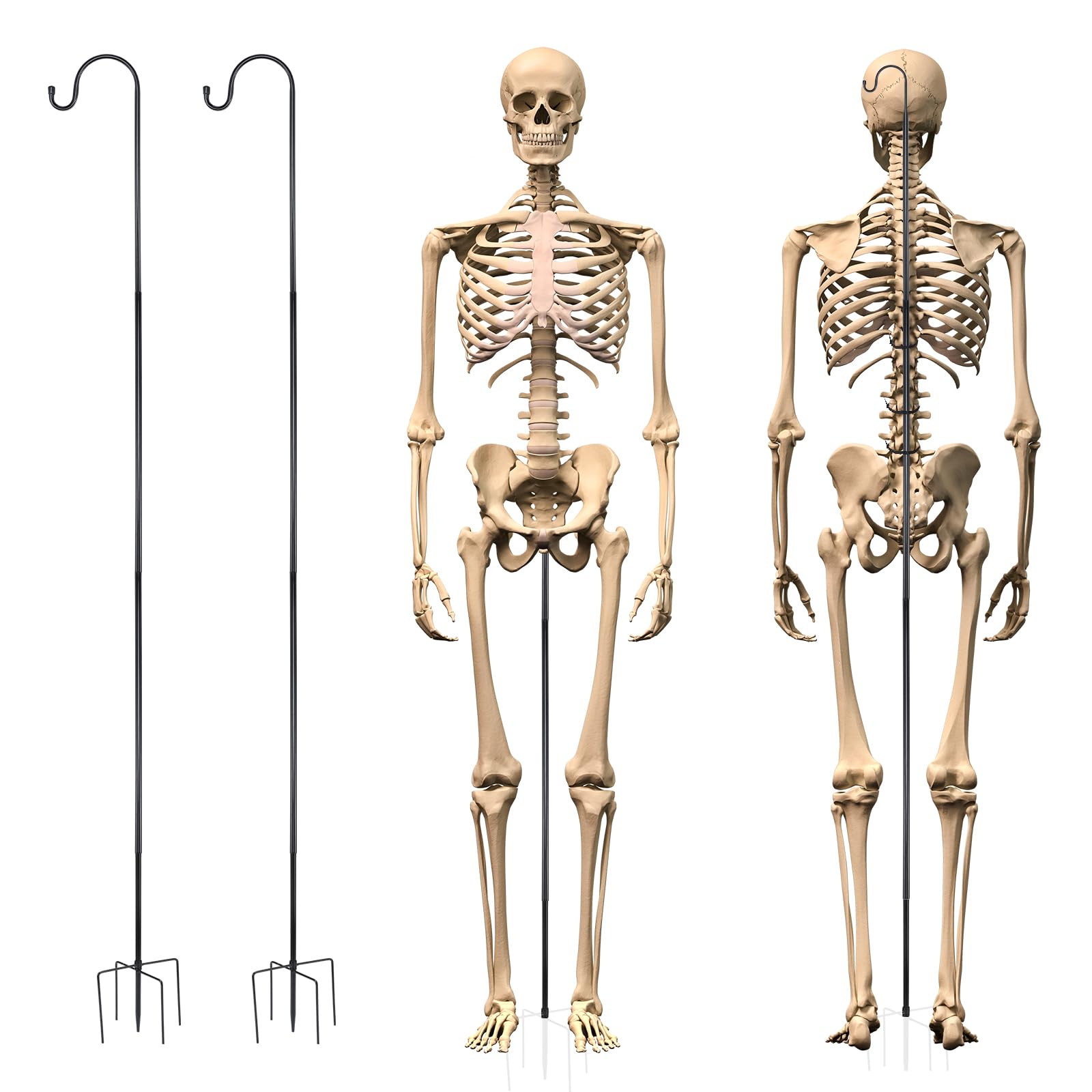 Photo 1 of Otoolling 2 Sets Skeleton Stand Pose Stay Metal Stand for 6.56 ft Tall Skeletons Halloween Decor Accessories(Black)