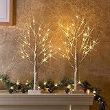 PEIDUO Set of 2 2FT 24LT Birch Tree Battery Powered Warm White LED for Home Decoration, Wedding