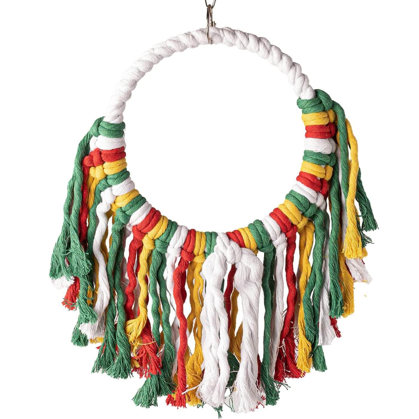 Rainbow Cotton Preening Parrot Swing — image 1