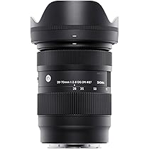Sigma 28-70mm F2.8 DG DN for L-Mount : Amazon.ca: Electronics