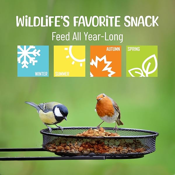 SNEAKY MANGO RAW OUT OF SHELL PEANUTS – 5 POUNDS – SHELLED PEANUTS FOR BIRDS – WILDLIFE QUALITY – FOOD FOR SQUIRRELS, DEER, BIRDS, AND OTHER WILDLIFE ANIMALS – GROWN IN THE USA