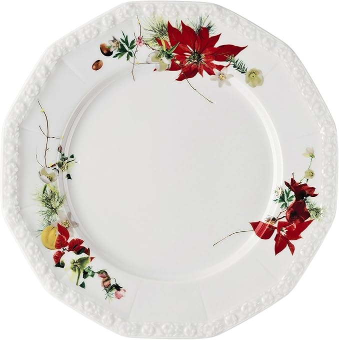 Stella Di Natale Winter Rose.Rosenthal Maria Winter Rose Piatto Piano Porcellana Rosso 28 X 27 X 7 Cm Amazon It Casa E Cucina