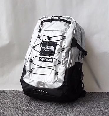 supreme the north face metallic borealis backpack silver