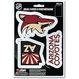 FANMATSNHL unisex NHL 3 Piece Decal Set