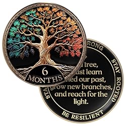 MilestoneMint Affirmation Sobriety Coin Gift Set