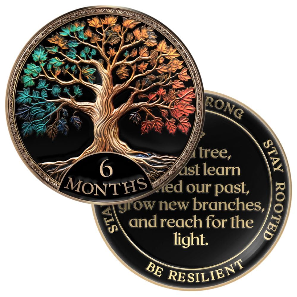 MilestoneMint Affirmation Sobriety Coin Gift Set