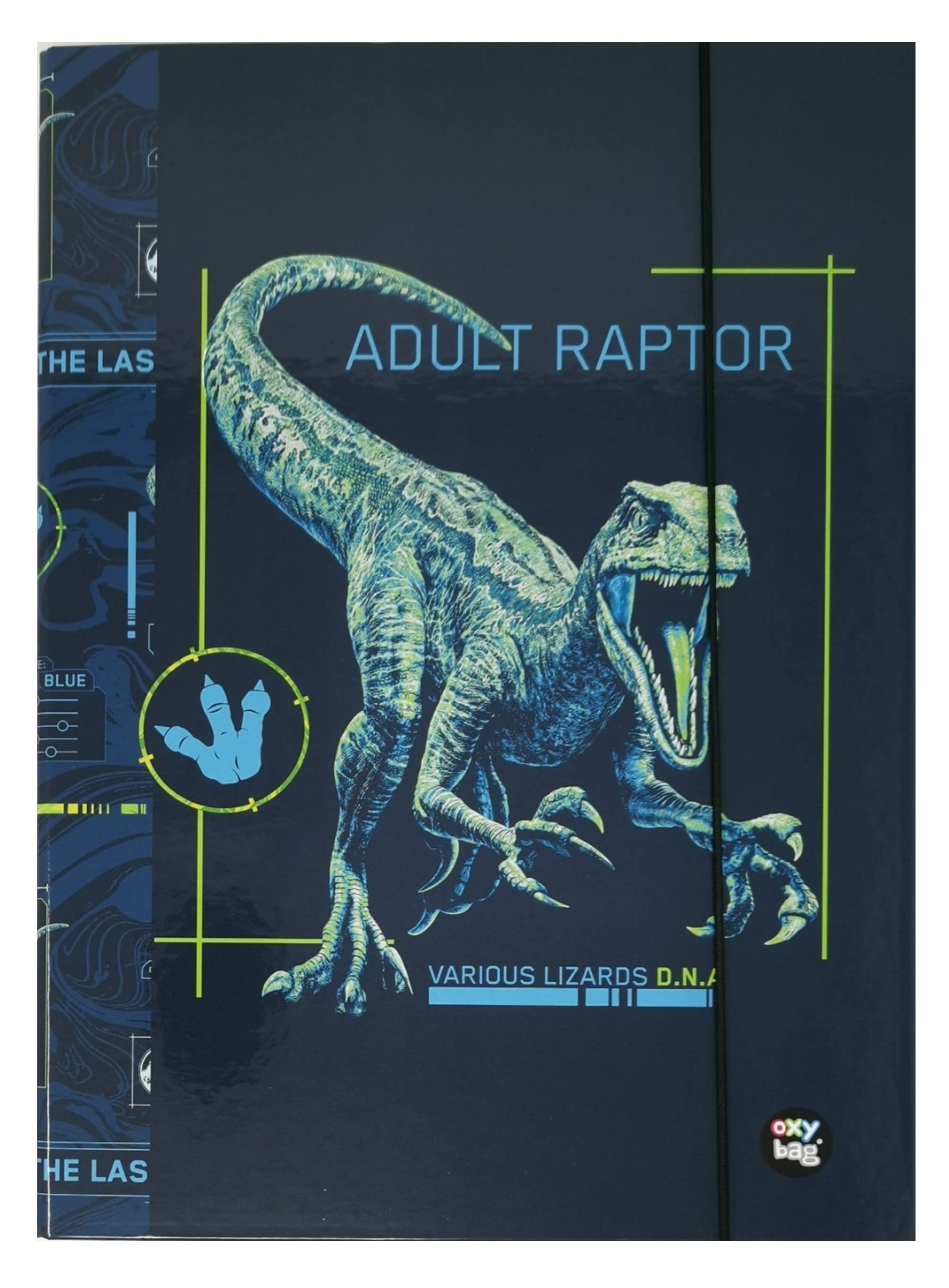 Theonoi A4 Dino AR Modern Cardboard Folder, 35 cm high, 25 cm Wide, A4, DIN A4, for Boys