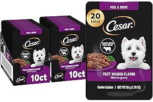 Cesar Filets in Gravy Wet Dog Food, Filet Mignon Flavor, 1.76 oz. Mini-Pouches, 20 Count (Pack of 1)