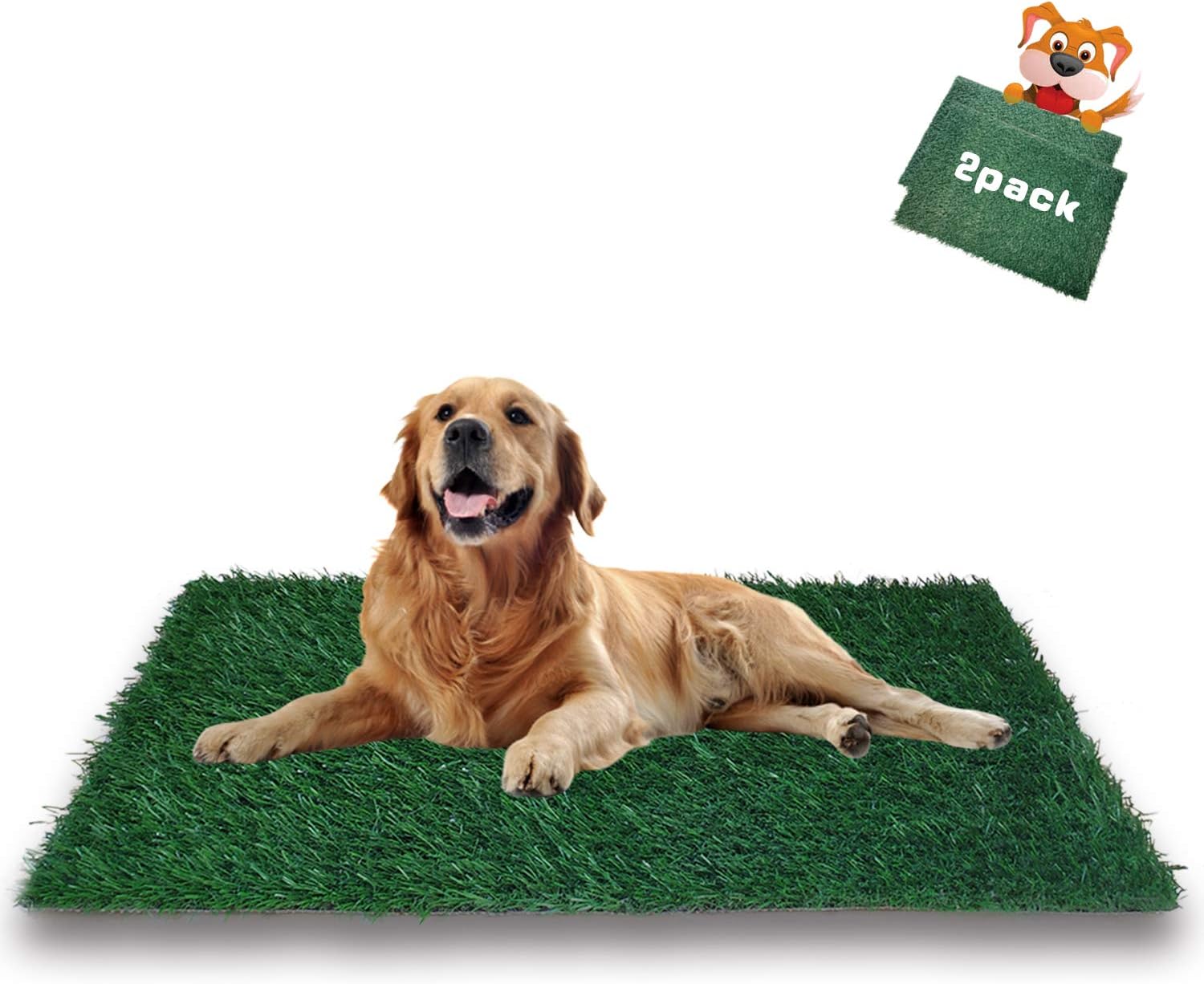 動かす 講堂 猫 おしっこ 玄関 Adobe Gakuwari Jp