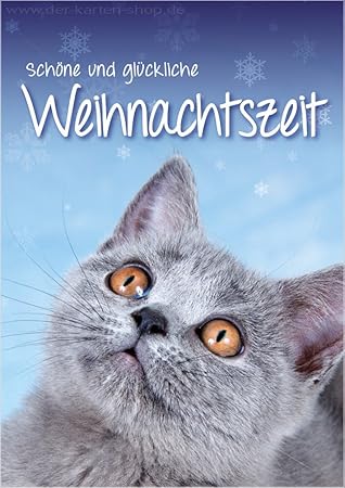 3 Stuck Weihnachtskarten Doppelkarte Mit Kuvert Katzenkarten Weihnachtskarte Katze Karte Weihnachten Schone Und Gluckliche Weihnachtszeit Amazon De Burobedarf Schreibwaren