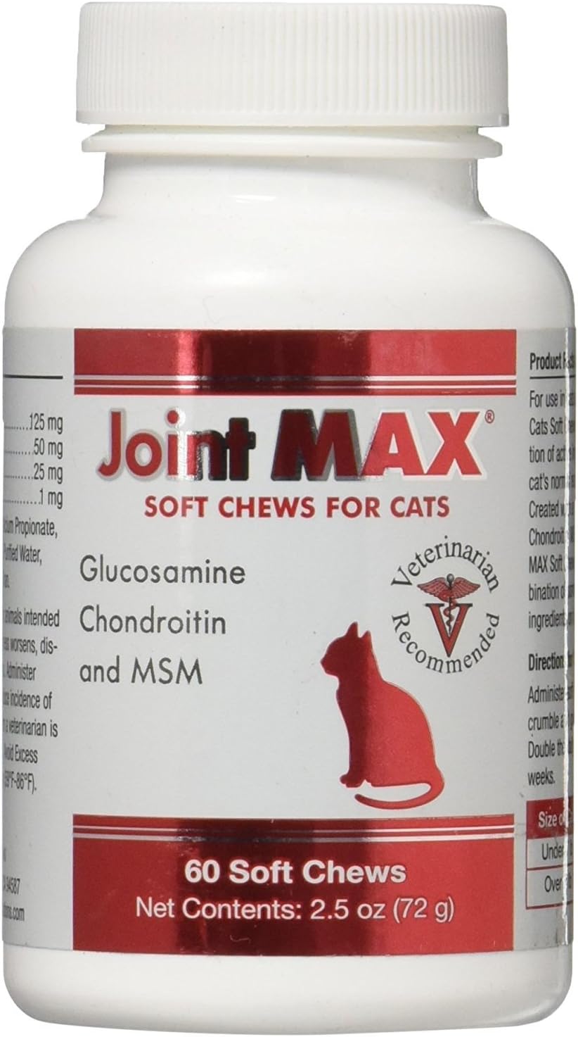 chondroitin for cats