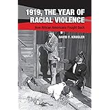 1919, The Year of Racial Violence: How African Americans Fought Back