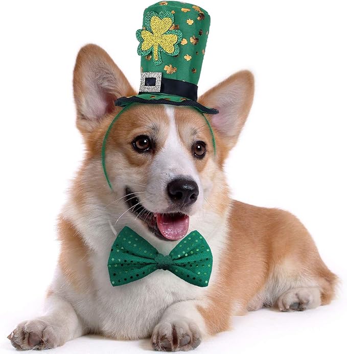 St Patricks Day Dog Costume St. Patty's Day Doggie