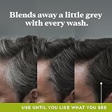 Just For Men Control GX Reducing Shampoo Grey Hair Coconut Oil Aloe Unscented view 2