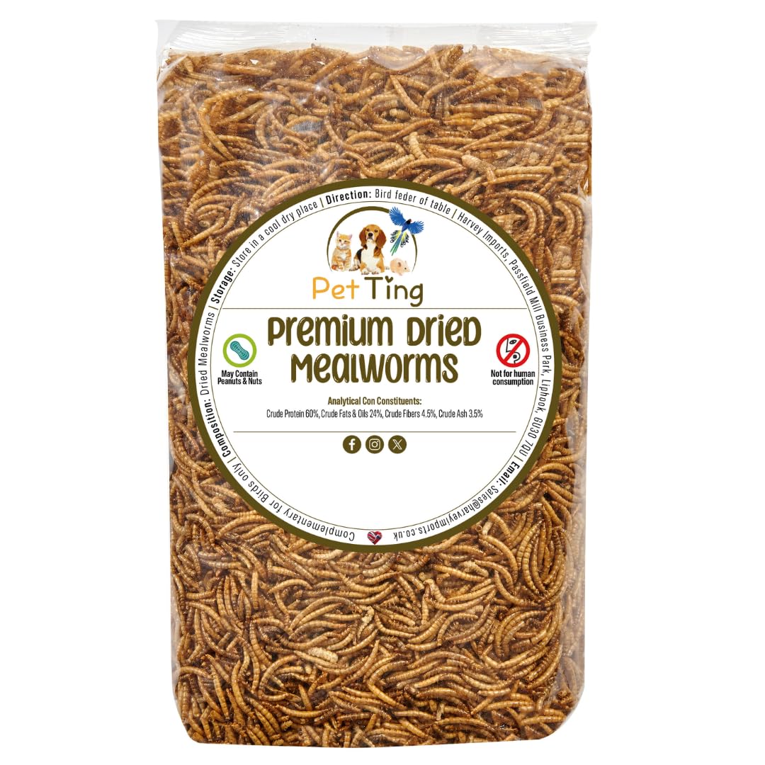 Premium Dried Mealworms, 5L Bag