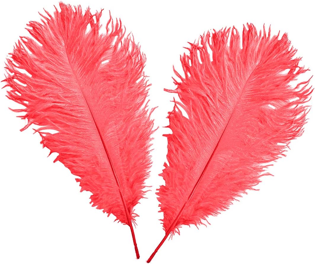 Trimming Shop 14-16inch(35-40cm) Red Ostrich Feathers Plume for Wedding Table Centrepieces Home Decoration Decorating Costumes Headdresses Showgirl Spadones - Image 5