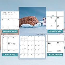 2025-2026 Wall Calendar,Shar Pei Wall