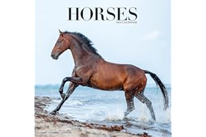 Horse Calendar - Calendars 2023 - 2024 Wall Calendars - Animal Calendar - Horses 16 Month Wall Calendar by Avonside