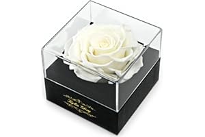 Fresh Cut Flower Preserved Rose for Women Mom Wife Girlfriend - Flower Gift Real Rose Decor for Mother's Day Valentine's Day 