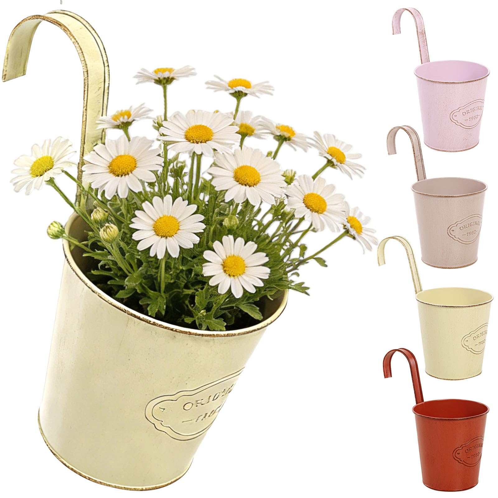CITÉTOILE 4 Pcs Metal Hanging Flower pot With Drainage Hole, Colorful Small Plant Pot Vase With Detachable Hook, Vintage Style Decor for balcony Wall Home Office Garden Outdoor et Intdoor