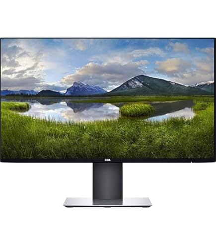DELL 24インチフルHDモニター P2419H Amazon.com: Dell P2419H 24-Inch Computer Monitor HD LED