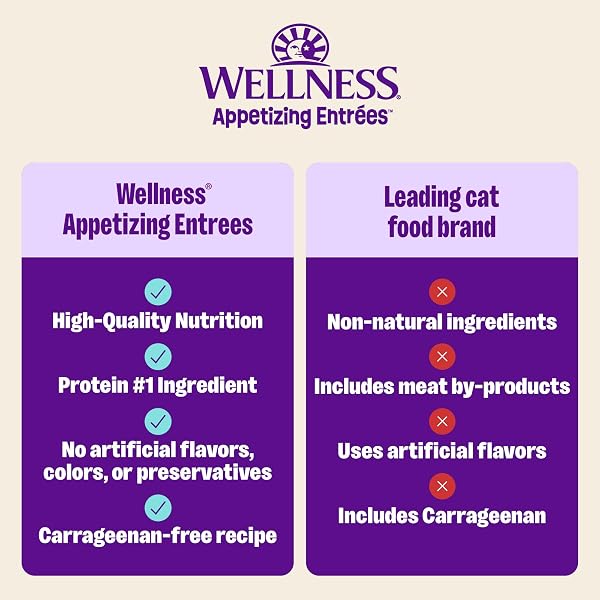 WELLNESS APPETIZING MOUSSE FLAKED VARIETY PACK ADULT WET CAT FOOD, NATURAL, PROTEIN RICH, GRAIN FREE, WHIPPED WONDERS, 2.8 OZ, PACK OF 8 POUCHES