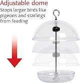 Jacobi Jayne I Love Robins Pearl Feeder Small Garden Bird Feeder view 3